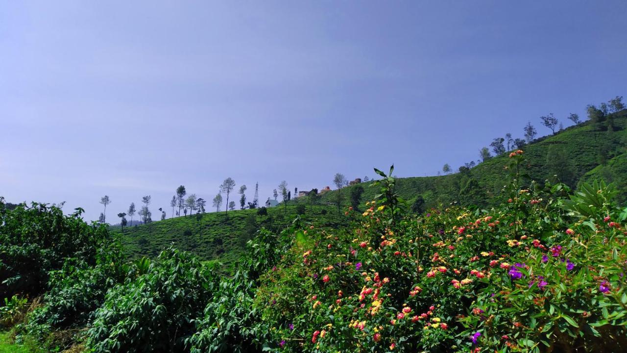 Shirin1892 Vendégház Nuwara Eliya Kültér fotó