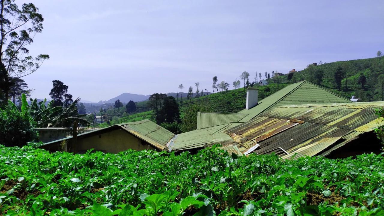 Shirin1892 Vendégház Nuwara Eliya Kültér fotó